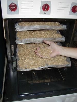 malting oven - finished