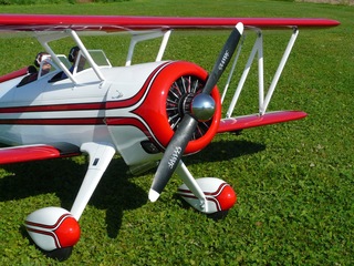 Radial engine with polished aluminium pushrod tubes