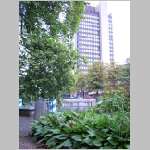 DSCI0331.html