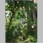 DSCI0455.html