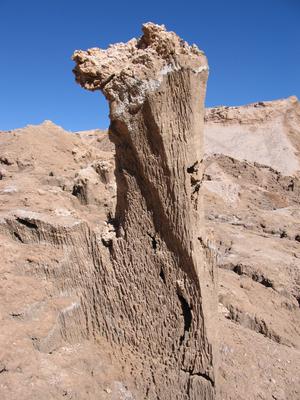 Valle de la Luna - Skulptur